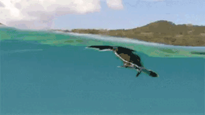 tumblr_ne80a17R351tmn92vo1_400.gif.gif