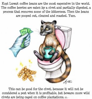 interesting-science-facts-illustrated-fancy-facts-part3-agatz-1-6037985150b0b__880~3.jpg