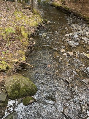 IMG_8332.jpeg