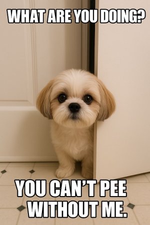 without me.jpg