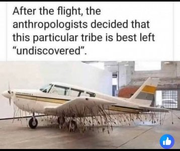 tribe.jpeg