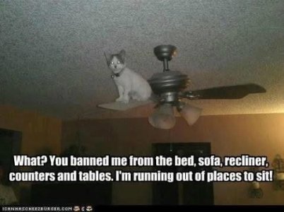 IMG_1134.jpeg