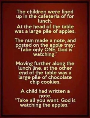 IMG_1119.jpeg