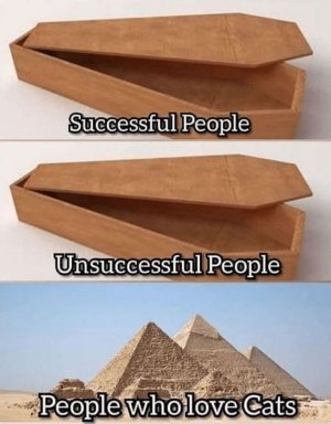 0.jpg