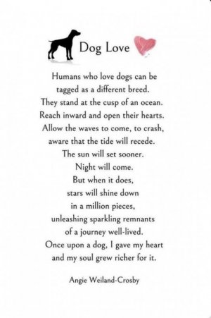 doglove.jpg