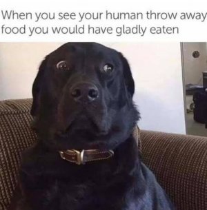 FB_IMG_1744639589156.jpg