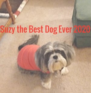 SuzyBestDogEver2020.jpg