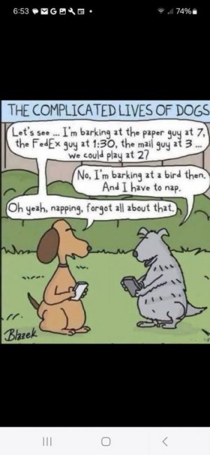 dogjoke.jpg