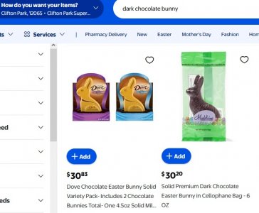 bunnies.jpg