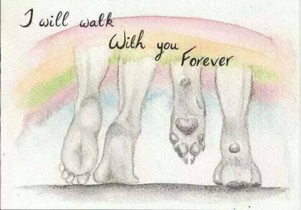 Iwillwalkwyouforeverdoghuman.jpg