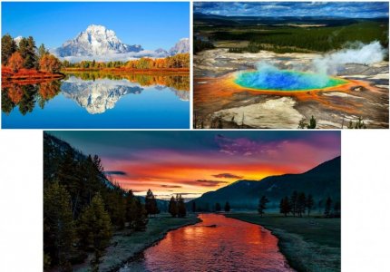 YNP.JPG