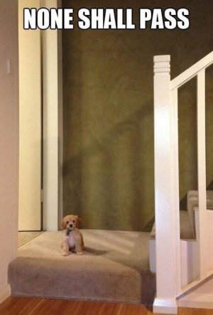IMG_1091.jpeg