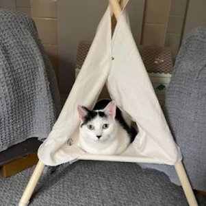 Wigwam @.jpg