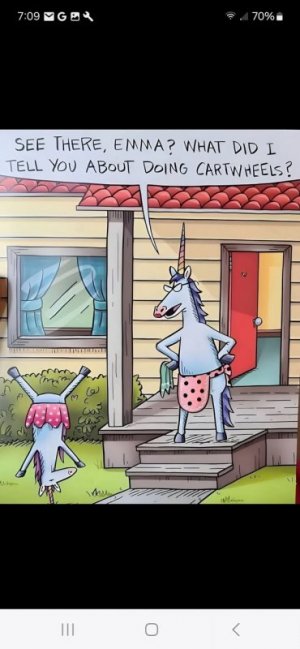 unicornjoke.jpg
