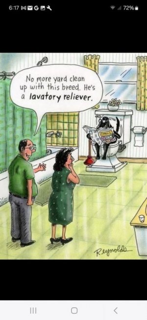 lavatoryretrieverjoke.jpg