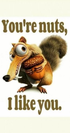 funnyanimalsmeme.jpg