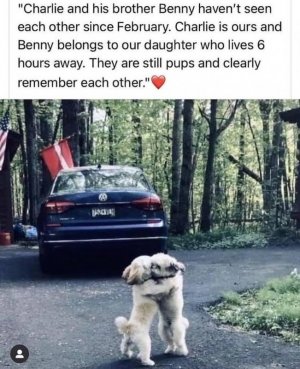 FB_IMG_1742947392365.jpg