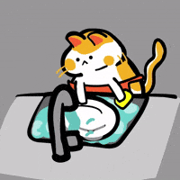 Cat Washing Dishes.gif