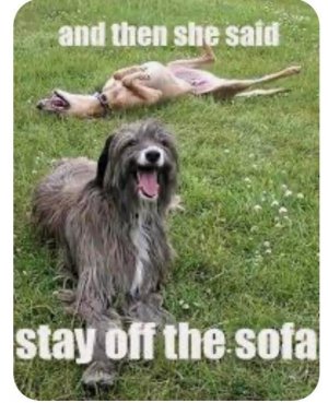 IMG_1154.jpeg