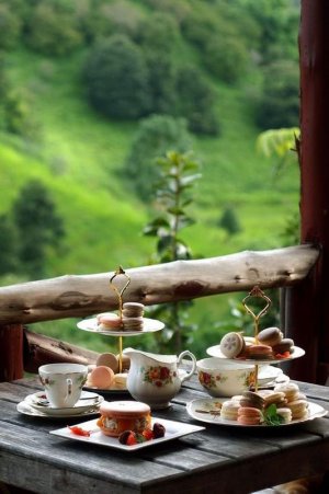 breakfast view.jpg