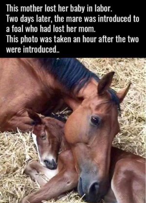 baby.jpg