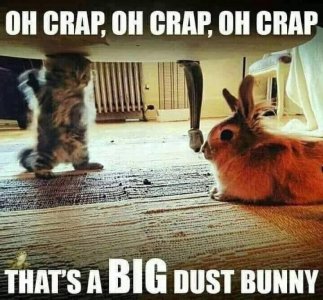 FB_IMG_1744934154959.jpg