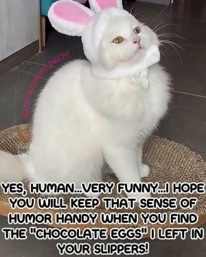 eastercatjoke.jpg