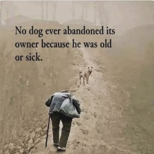 FB_IMG_1744590519643.jpg