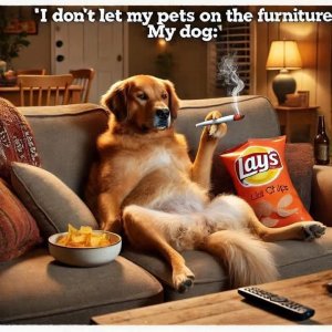 FB_IMG_1744297751411.jpg