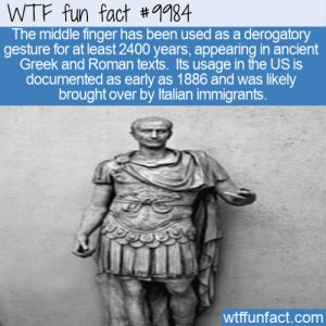 WtF-Fun-Fact-Want-Derogatory-Gesture-Show-Middle-Finger.jpg