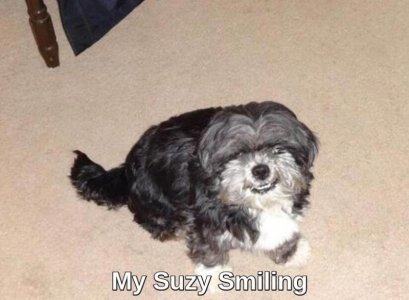 Suzysmilingeditedlunapic.jpg
