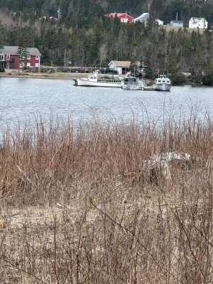 IMG_8412.jpeg