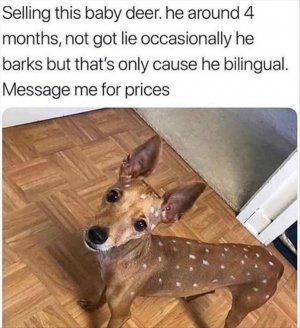 23a18cf2bf09a3f7f56cd6ff567780c8.jpg