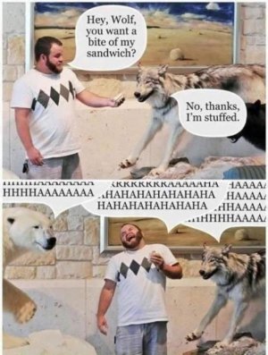 IMG_1152.jpeg