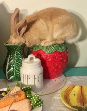 apr14.jpg
