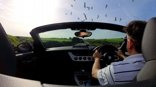 PDNP 002.JPG PDNP 002.JPG