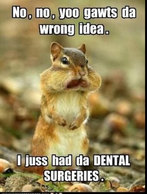 chipmunk.jpg