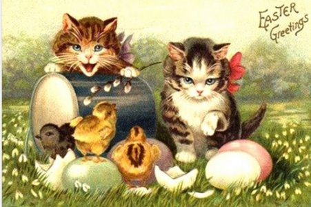 Kitties1.jpg