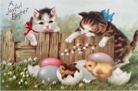 kitties4.jpg