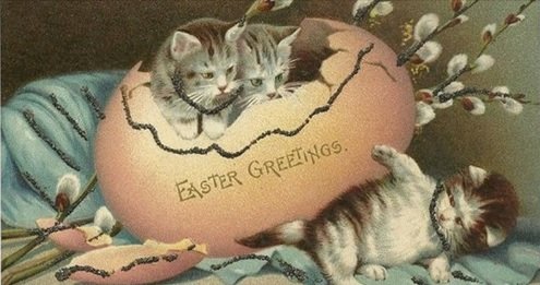 kitties2.jpg
