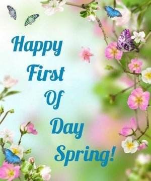465205-Butterfly-Flowers-Happy-First-Day-Of-Spring-2278385709.jpg