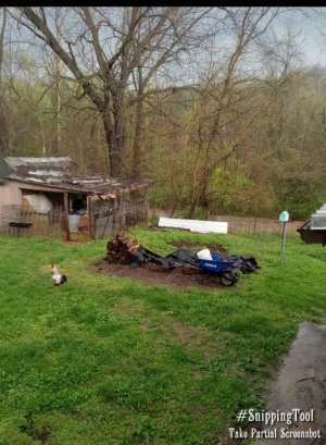 Snipping_2025-04-20-18-07-07.jpg