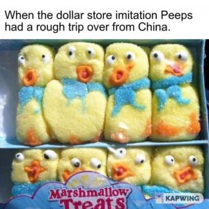 IMG_1208.jpeg