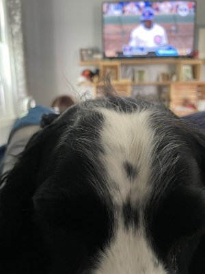IMG_1718.jpeg