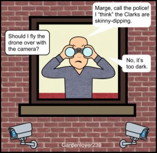 neighbors.jpg