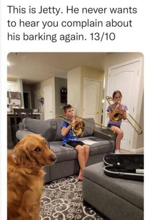 1000011504.jpg