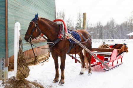sleigh.jpg