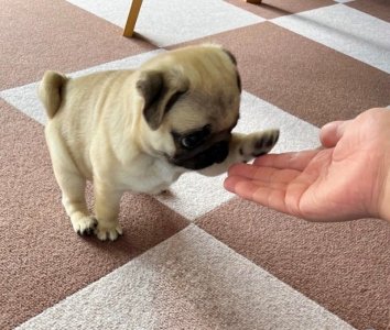 1000000208.jpg