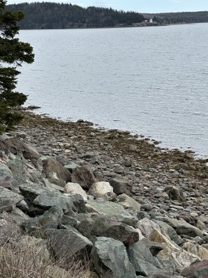 IMG_8520.jpeg