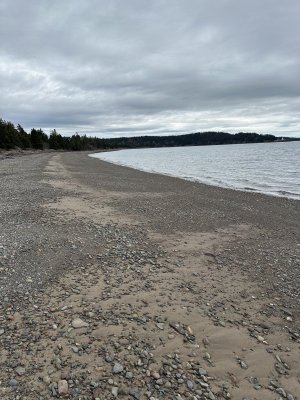 IMG_8525.jpeg